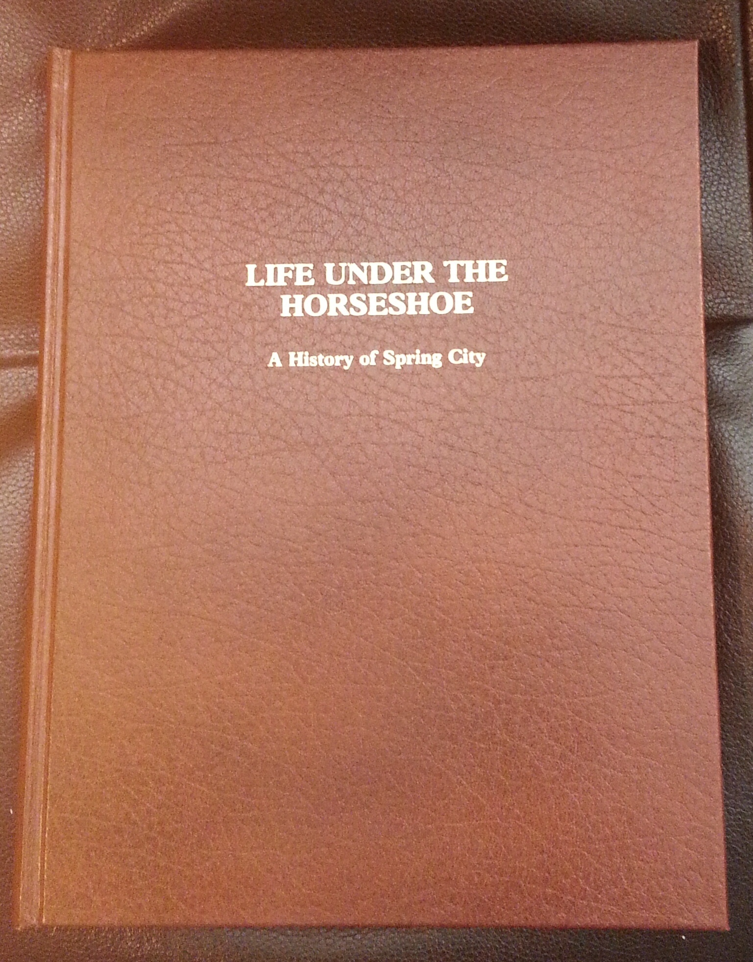 Image for Life under the horseshoe: A history of Spring City