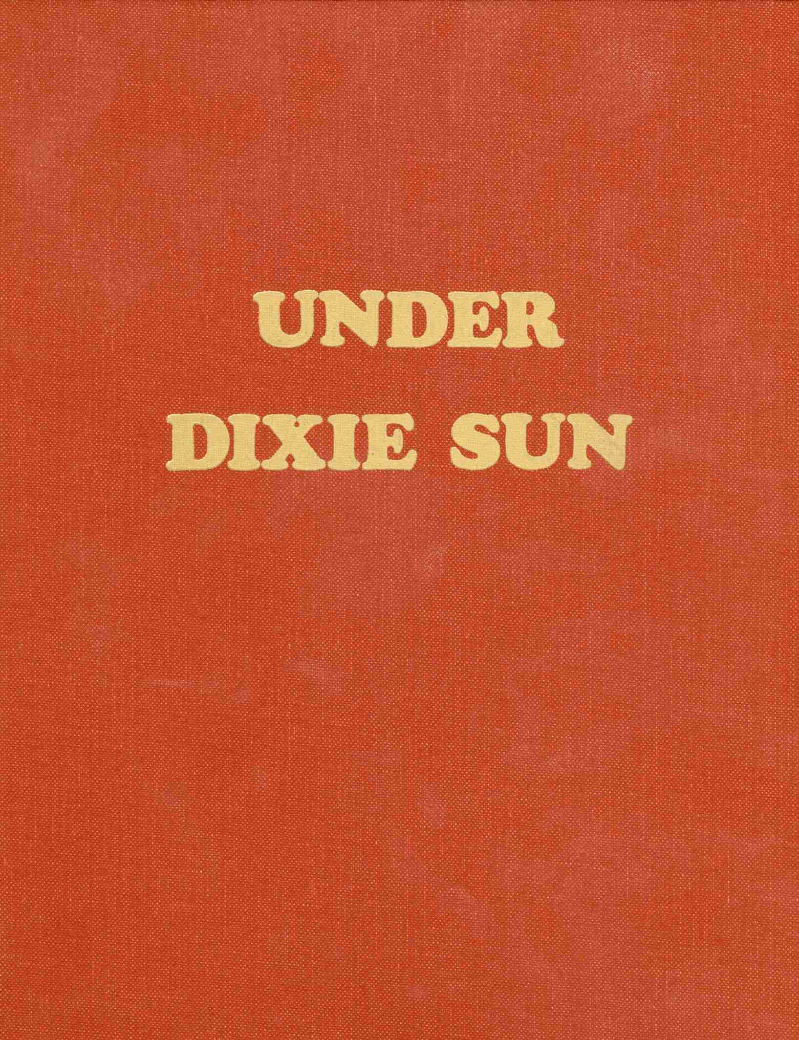 Image for UNDER DIXIE SUN - A History of Washington County [Utah]