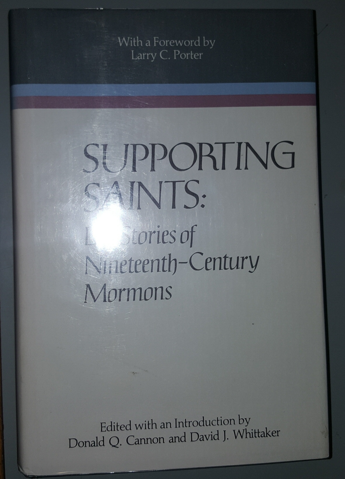 Image for Supporting Saints - Life Stories of NINETEENTH-CENTURY Mormons