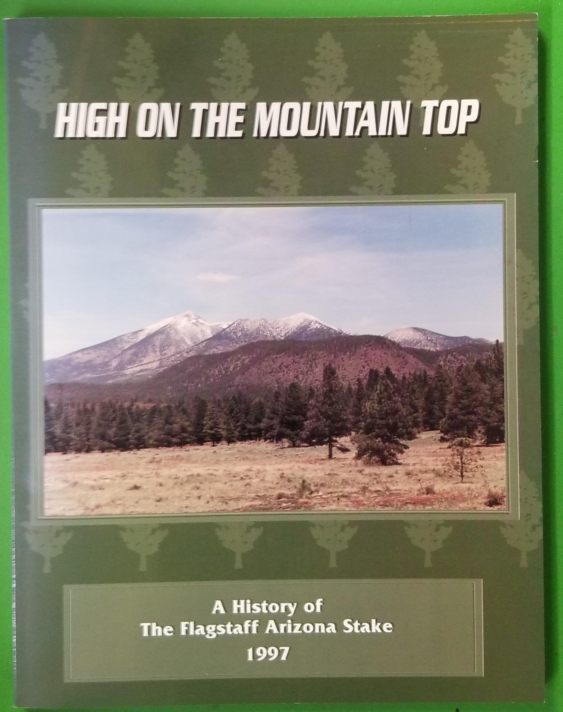 Image for High on the Mountain Top;  A History of the Flagstaff Arizona Stake